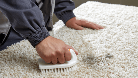 Professional Rug Cleaning Ripponlea